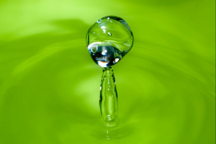 Water Consumption