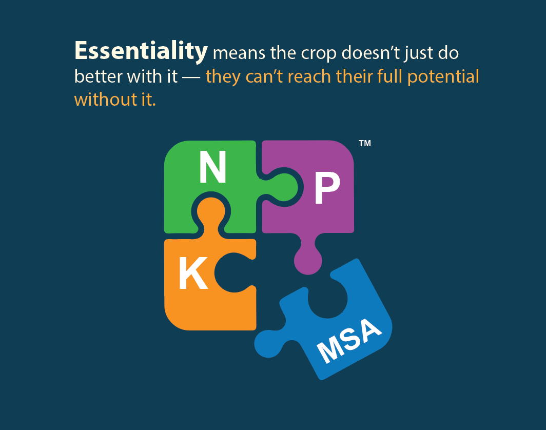 Essentiality is our Multi Stage™  MSA Complex