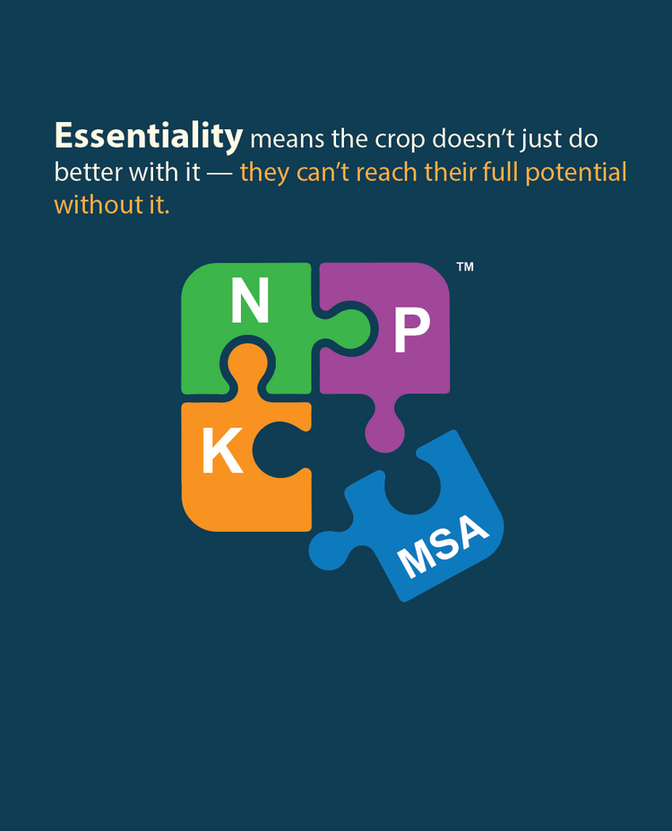 Essentiality is our Multi Stage™  MSA Complex