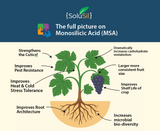 SoluSil® GROW + SPF - mMSA Foliar Amendment 1 Gallon / 4 Liter (2 Pack 2G/8L) 20 Acre/8 Ha